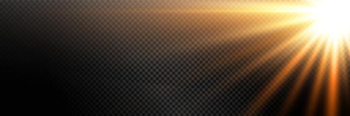 Wall Mural - white glowing light explodes on transparent background. sparkling magical dust particles. bright sta