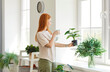 © Studio Romantic - Young woman standing near window, spraying water on potted green house plant flower. Redhead girl taking care of houseplant, watering it with spray bottle, enjoying gardening in bright room at home.