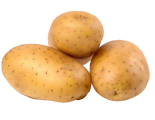 Wall Mural - Potatoes isolated on a white background showing their natural texture and earthy color
