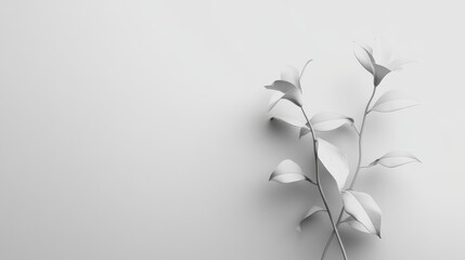 Wall Mural - clean and simple solid light grey color background with no texture