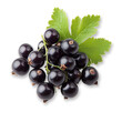 © lisbeth - Fresh blackcurrants with green leaf isolated transparent background