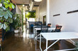 © Pedro Merino/Stocksy - Bright coworking space with plants