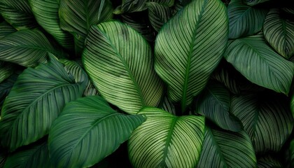 green background
