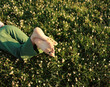 © Ulas&Merve/Stocksy - Relaxing Barefoot in a Lush Flower-Covered Meadow