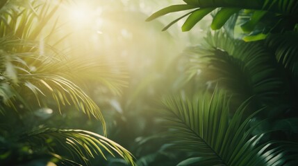 Aufkleber - Sunlight streams through the dense foliage, illuminating the rich greenery of a tropical forest, creating a serene atmosphere. Generative AI