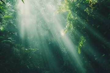 Aufkleber - Dappled sunlight streams through the green leaves of a tropical forest, enhancing the tranquility and beauty of the morning landscape. Generative AI