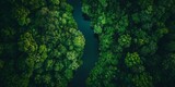 Aerial View of Lush Green Forest with a Narrow Winding River