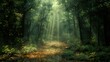 Sunbeams Illuminating a Tranquil Forest Path