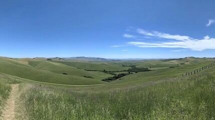 Wall Mural - A panoramic view of rolling green hills under a clear blue sky.