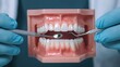 © MP-AI - A dental model demonstrates proper oral hygiene techniques with tools for cleaning and examining teeth.