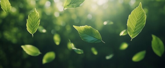 Wall Mural - Green leaves falling in the sunlight.