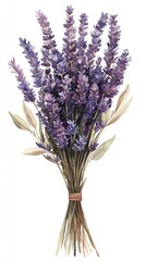 Wall Mural - A bouquet of fresh lavender flowers tied with twine, with green leaves.