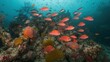 © SAQUEEN - A school of bright red fish swim over a colorful coral reef.