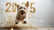© h - the number '2025' composed of paper scraps,a dog playing among a sea of confetti, in a lively and joyous festival setting,the dog celebrating in against a white background, with space for text, happy
