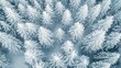 © LensDreamer - Top view of a dense cluster of snow-capped trees forming geometric shapes from above.