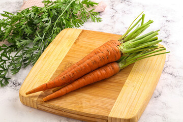 Toung fresh ripe orange carrot