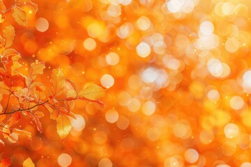 Orange bokeh nature background tripled.