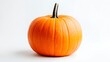 © DreamWeaver - Vivid Orange Pumpkin Sticker on a Fall White Background