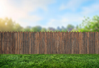 Wall Mural - spring grass in backyard and wooden garden fence