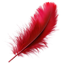 red feather isolated on transparent background cutout