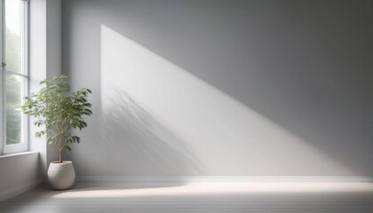 Pale gray wall with soft, cool morning light from nearby window.