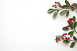 © Costas Visuals - A minimal and elegant design showcasing realistic holly sprigs with vivid green leaves and shiny red berries, arranged on a neutral white background with ample copy space for a festive greeting.