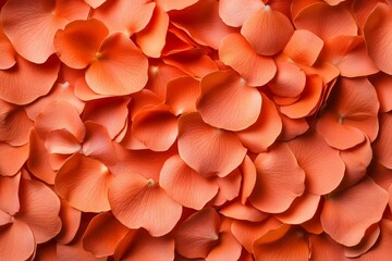 Wall Mural - Vibrant orange petals isolated; intricate textures; nature-inspired floral projects 