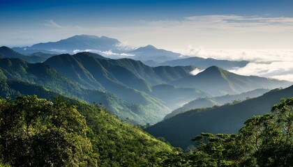 misty mountain ridge in blue mountain jamaica