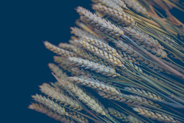 Wall Mural - Selective focus of bunches dried flowers in dark tone, Bouquets of golden dry ears of wheat or rye grain display in flower market, Home decoration, Nature floral background.