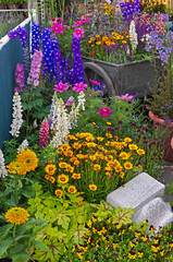 Wall Mural - Florists display of colourful plants