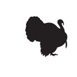 © Never Look Back - Turkey silhouette, turkey silhouette - vector illustration, Turkey silhouette vector black and white. Turkey logo.