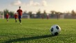 © mangolovemom - A soccer ball rests on the grass as players practice in the background during a sunny day at the field, creating a lively sports atmosphere.