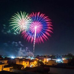 Canvas Print - fireworks in the night sky