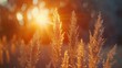 © Farkhanda - wild grass in the forest at sunset macro image shallow depth of field abstract summer nature background vintage filter, Ai Generated.