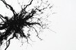 © Василь Тігай - Abstract Black Ink Explosion Art