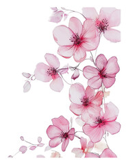 Wall Mural - PNG Pink flower illustration on white background