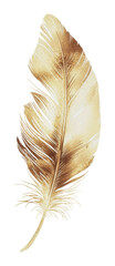 Wall Mural - png gold feather design on white背景