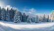 © l1gend - Winter background landscape with fir trees and pines in snow