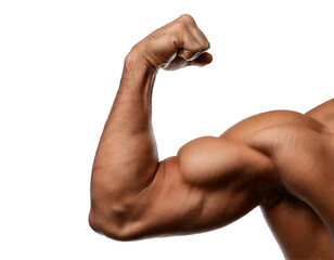 a muscular male arm flexing against a plain white background, showcasing strength and definition