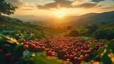 Coffee Beans Ripening in a Lush Mountain Landscape at Sunset