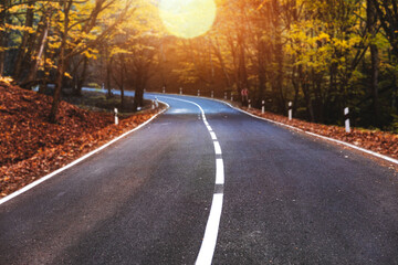 Wall Mural - road in the forest.beautiful autumn in Armenia