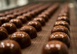 © Hanna - Chocolate pralines arranged in neat rows at a confectionery factory during the production process