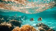 © VK Studio - Two fish swim peacefully under a fishing net in a vibrant coral reef, creating a vivid scene of ocean life and delicate beauty.