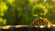 © Катерина Спіжевска - A small, vibrant green tree sprouts from the top of a neatly stacked pile of golden coins, symbolizing the synergy between financial investment and eco-conscious growth