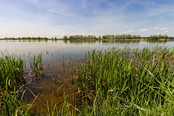 Wall Mural - a beautiful lake against the blue sky