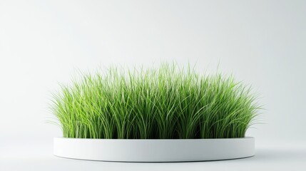 Aufkleber - 3D rendering of a grass podium against a white background