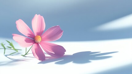 Fototapete - Detail of shadow on a white background featuring a pink cosmos flower in 3D cartoon rendering creative style