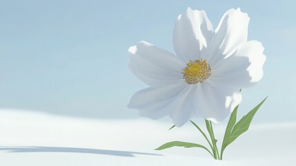 Poster - Cartoon rendering in 3D of a Cosmos Flower with a white background