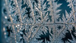 © Krzysztof - Frost Crystals Forming on Windowpane in Winter