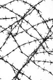 Close up of a wire fence with many barbed wire spikes. The fence is black and white and the spikes are silver. Concept of danger and caution, as the barbed wire is designed to deter intruders
